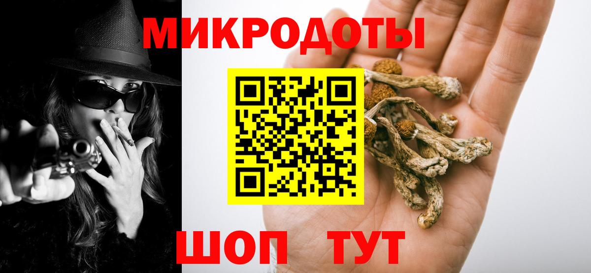 Галлюциногенные грибы прущие грибы Боровичи